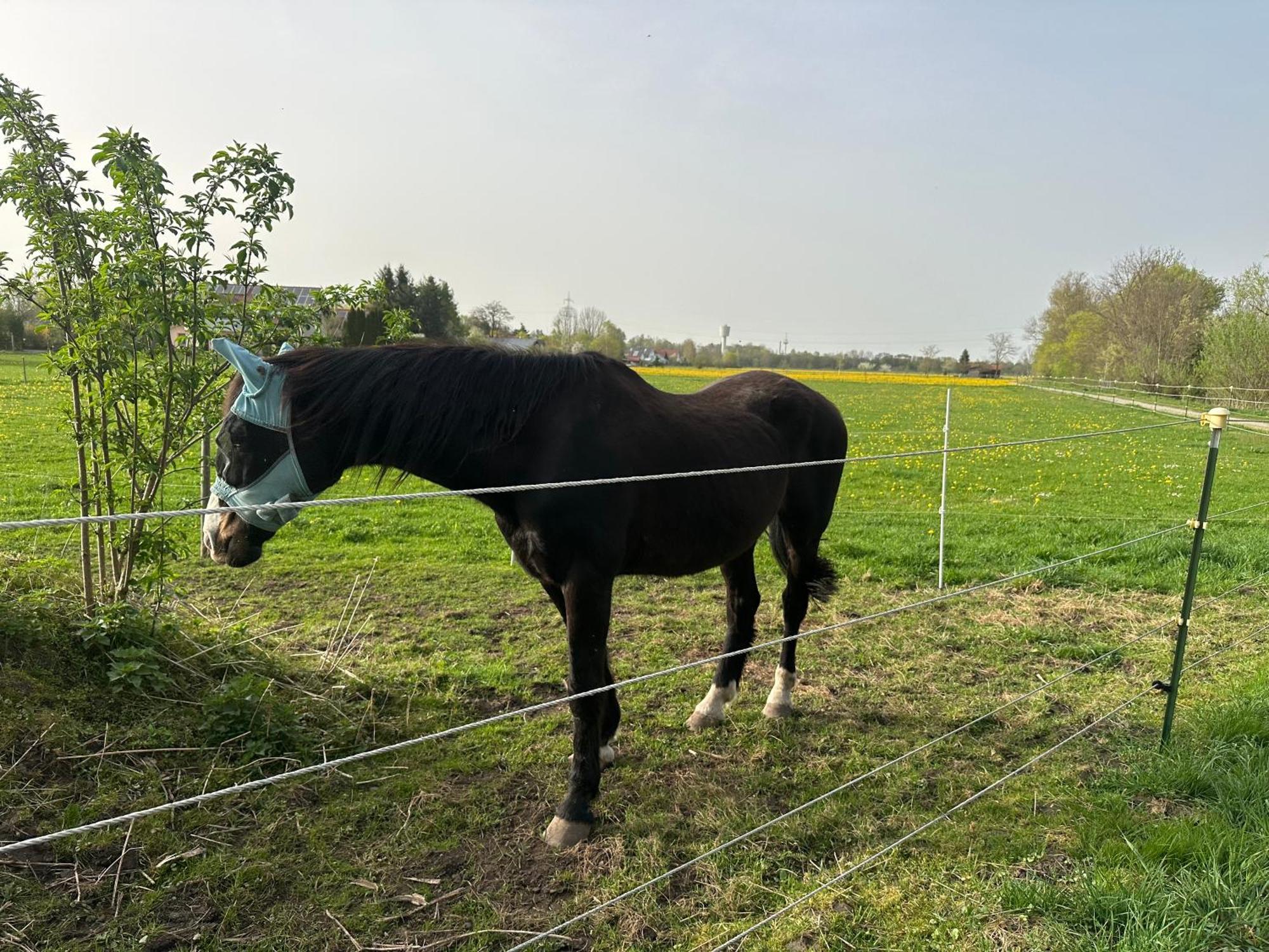 Landhaus Lindenberg Buchloe Kültér fotó